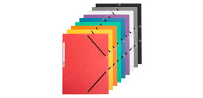 Leitz Jurismappe 39240055 DIN A4 3Klappen Karton grün kaufen Leitz Jurismappe 39240055 DIN A4 3Klappen Karton grün kaufen